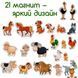 Мамалюк - Дитячий набір магнітів Ферма сімейка Magdum Magdum RT2-ML4031-21-EN фото 6
