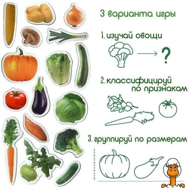 Мамалюк - Детский набор магнитов Овощи Magdum Magdum RT2-ML4031-12-EN