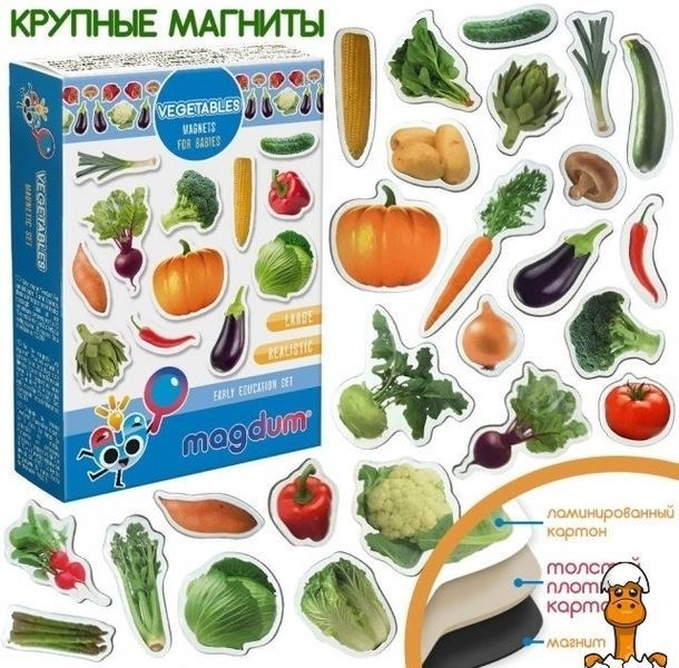 Мамалюк - Детский набор магнитов Овощи Magdum Magdum RT2-ML4031-12-EN