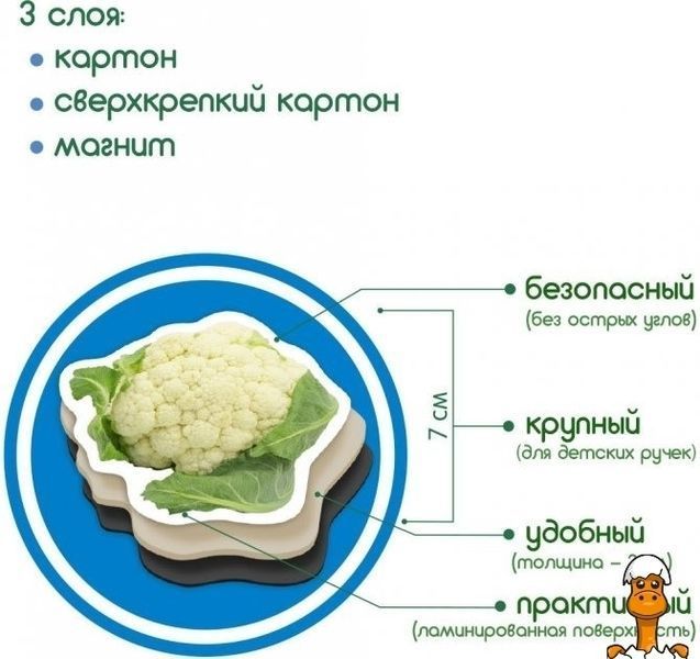 Мамалюк - Детский набор магнитов Овощи Magdum Magdum RT2-ML4031-12-EN