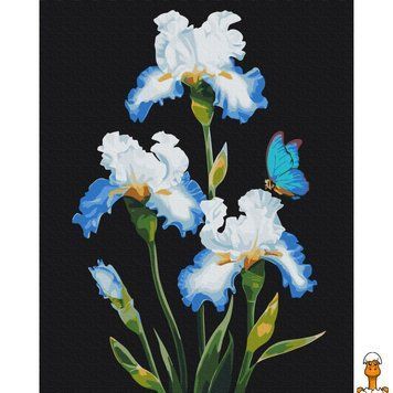Мамалюк - Картина за номерами Іриси 40x50 см Brushme Brushme RT2-BS53915