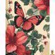 Картина за номерами з метеликом 40х50 см Art Craft