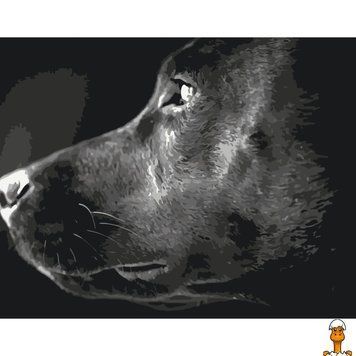 Мамалюк - Картина за номерами Погляд вірності 40х50 см Art Craft Art Craft RT2-12164-AC